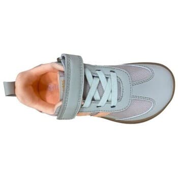 Boys' Sneakers Blanditos Gray