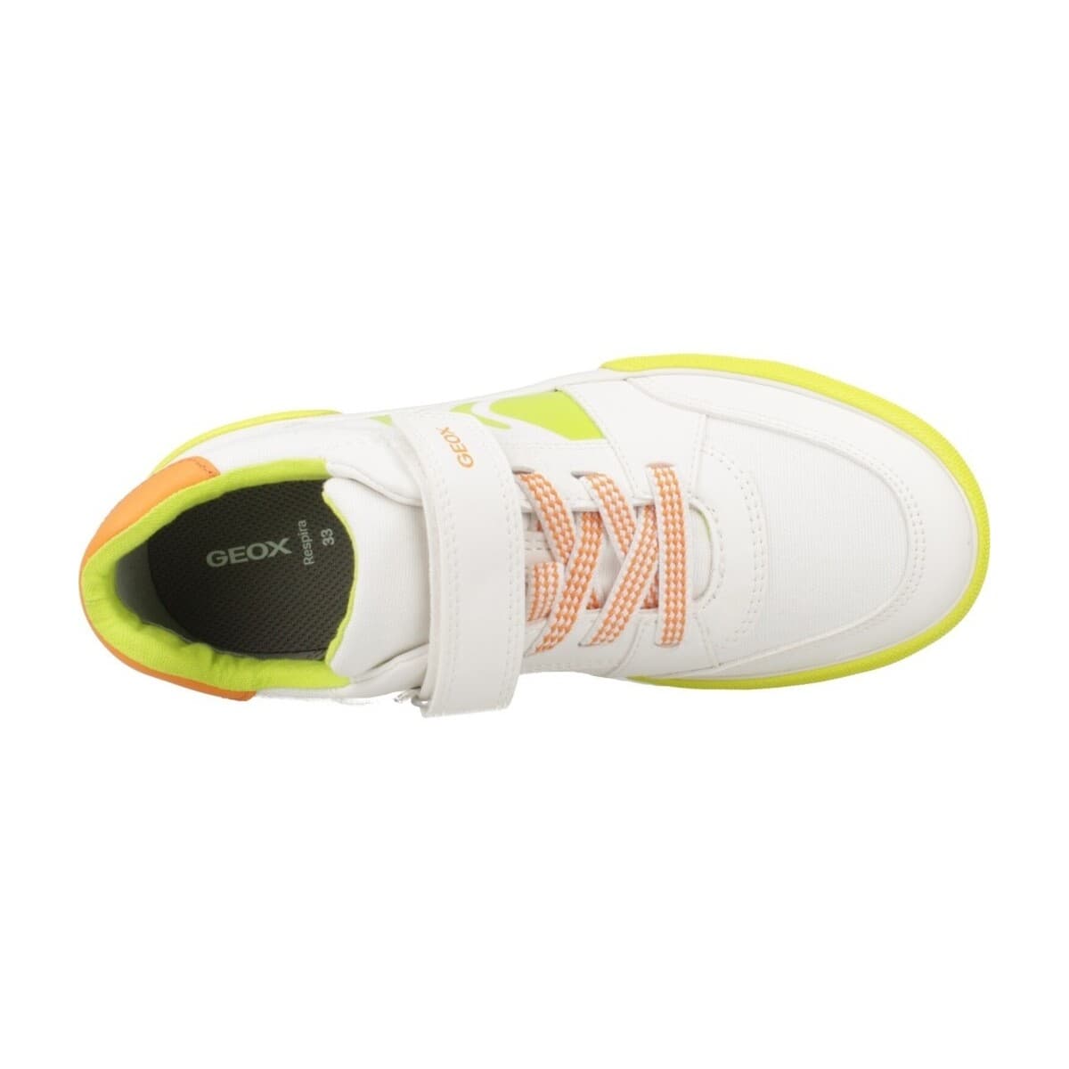 Boys' Sneakers Geox White