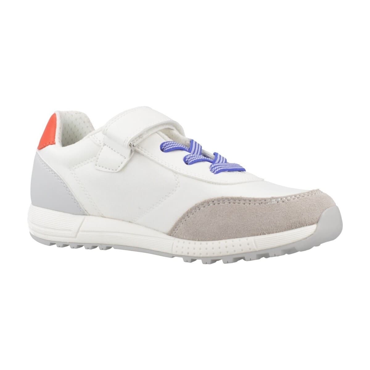 Boys' Sneakers Geox Gray