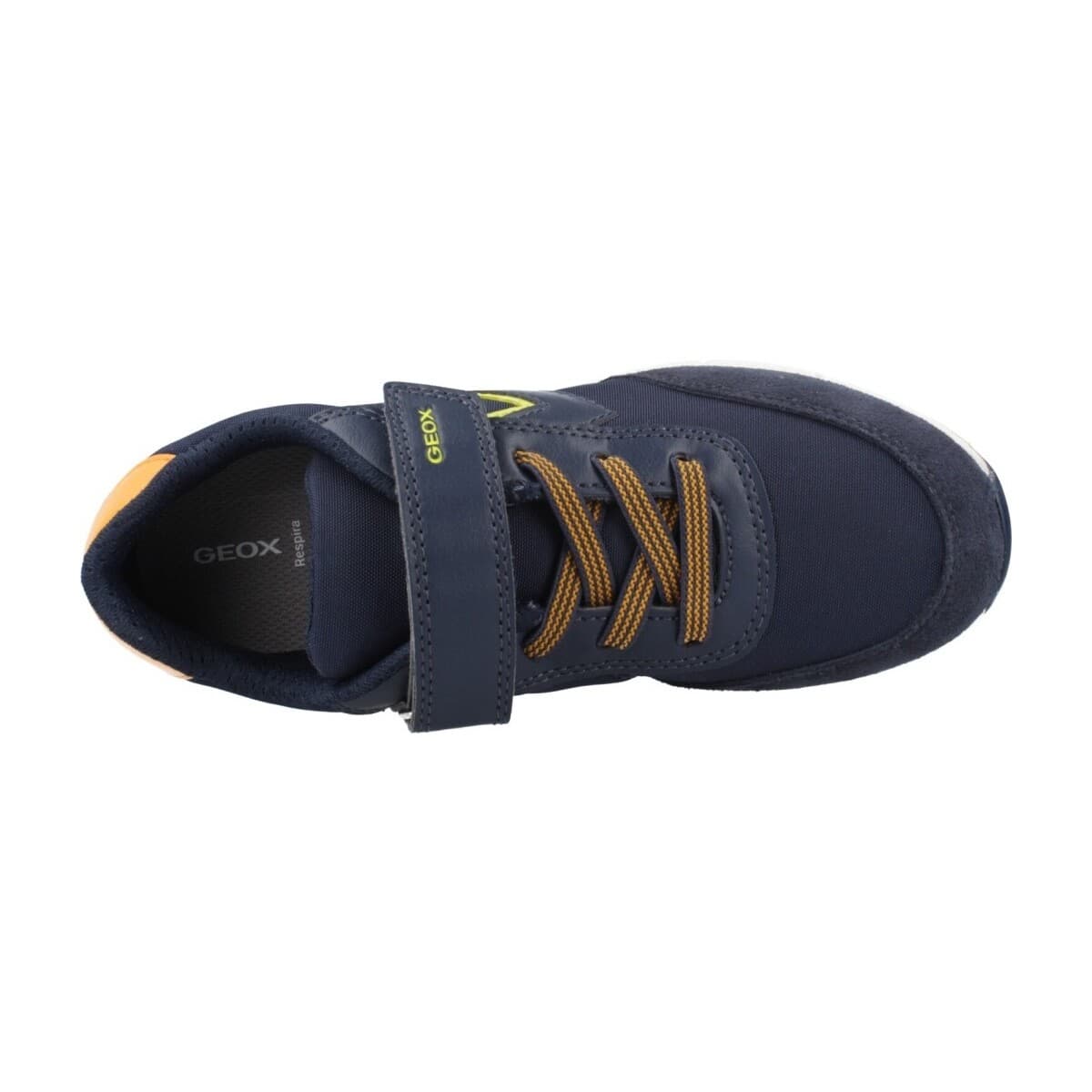 Boys' Sneakers Geox Blue
