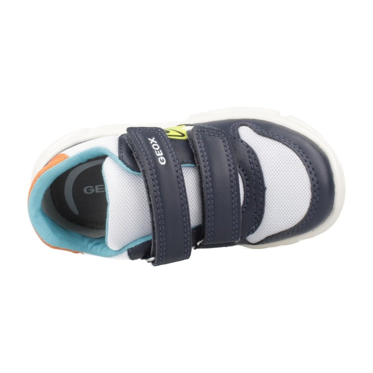 Boys' Sneakers Geox Blue