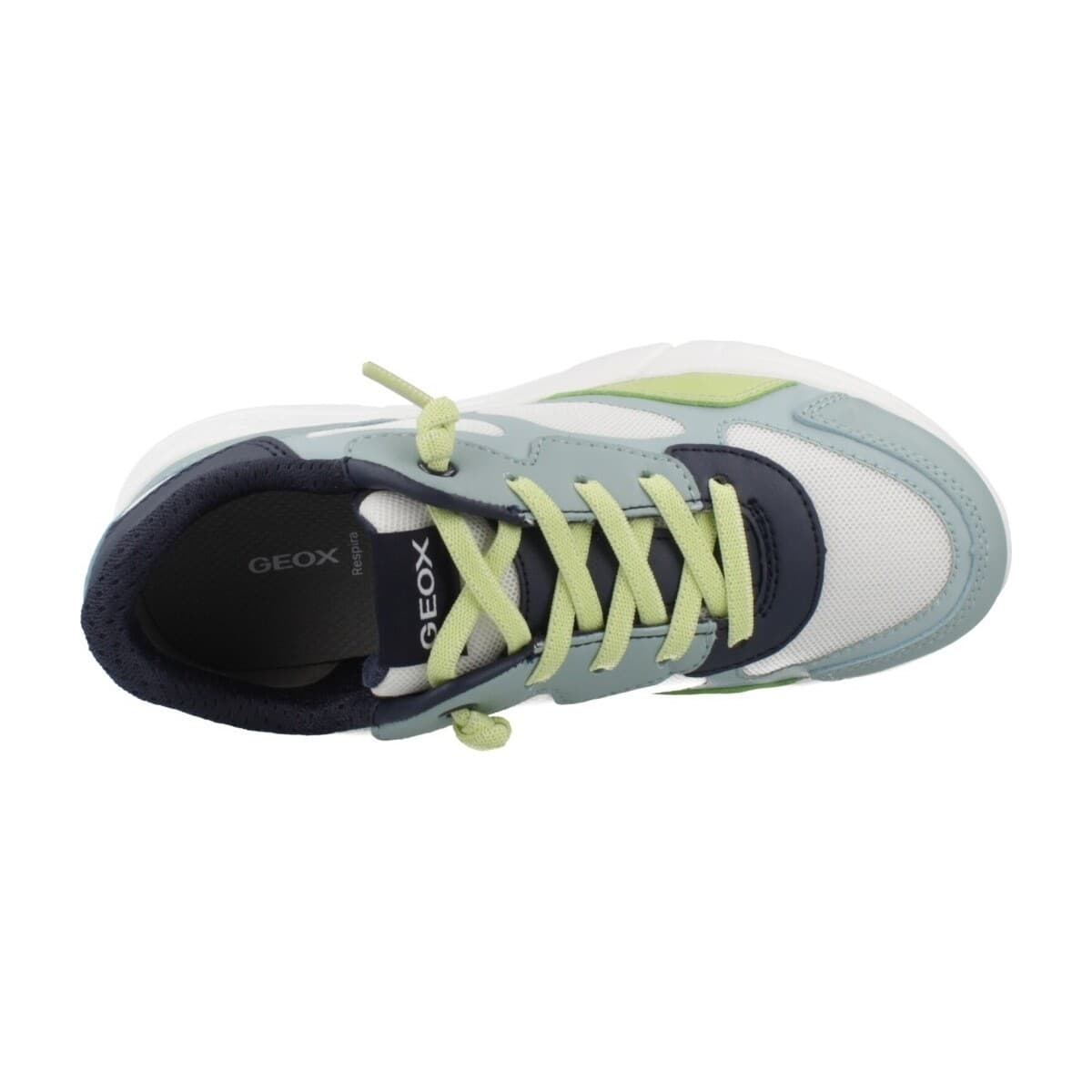 Boys' Sneakers Geox Blue