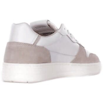 Men's Sneakers D.A.T.E. White