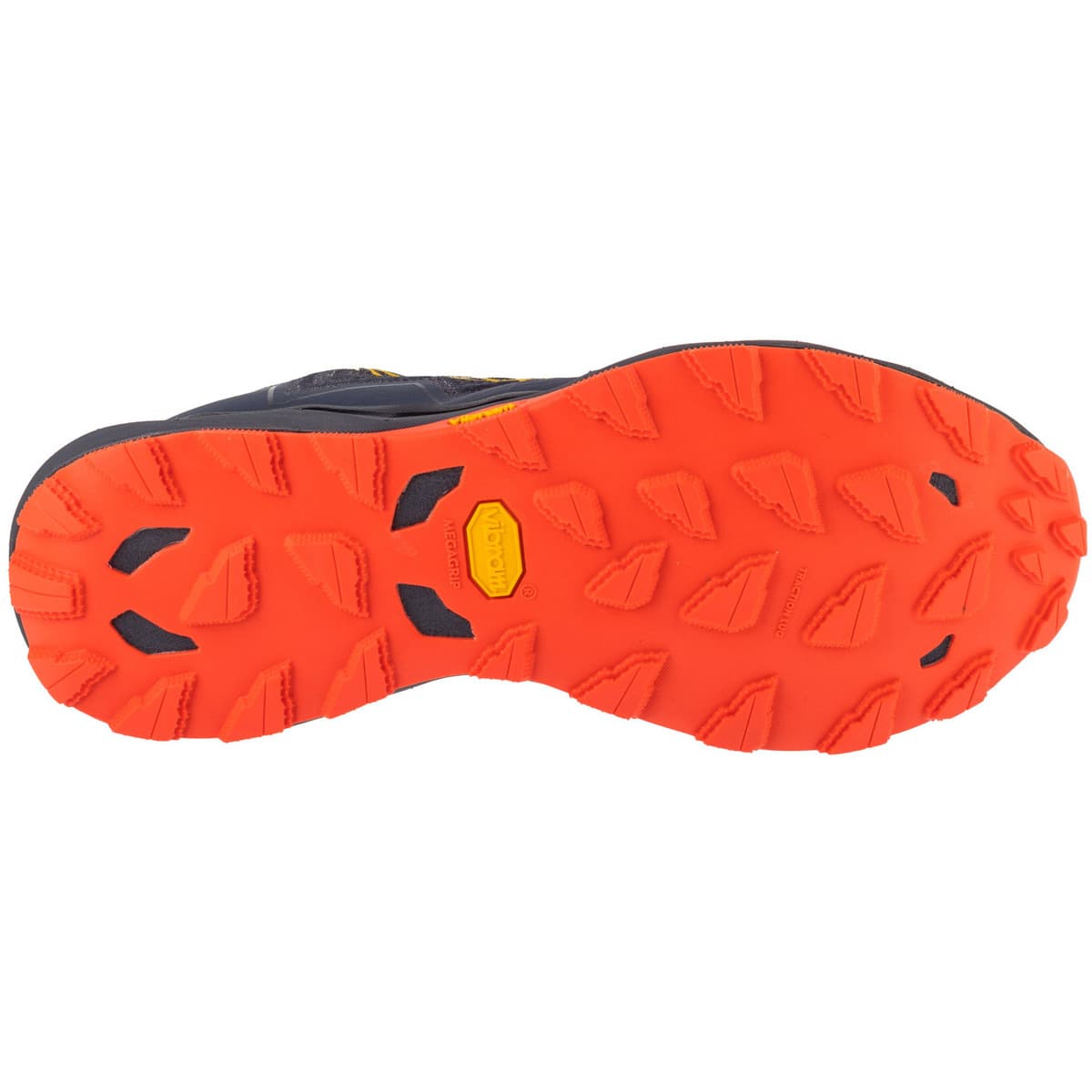 Men's Running Shoes Mizuno Gray