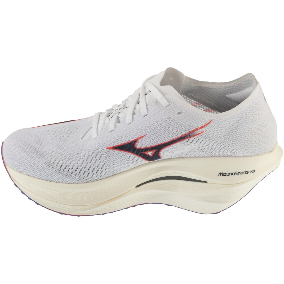 Men's Running Shoes Mizuno Gray