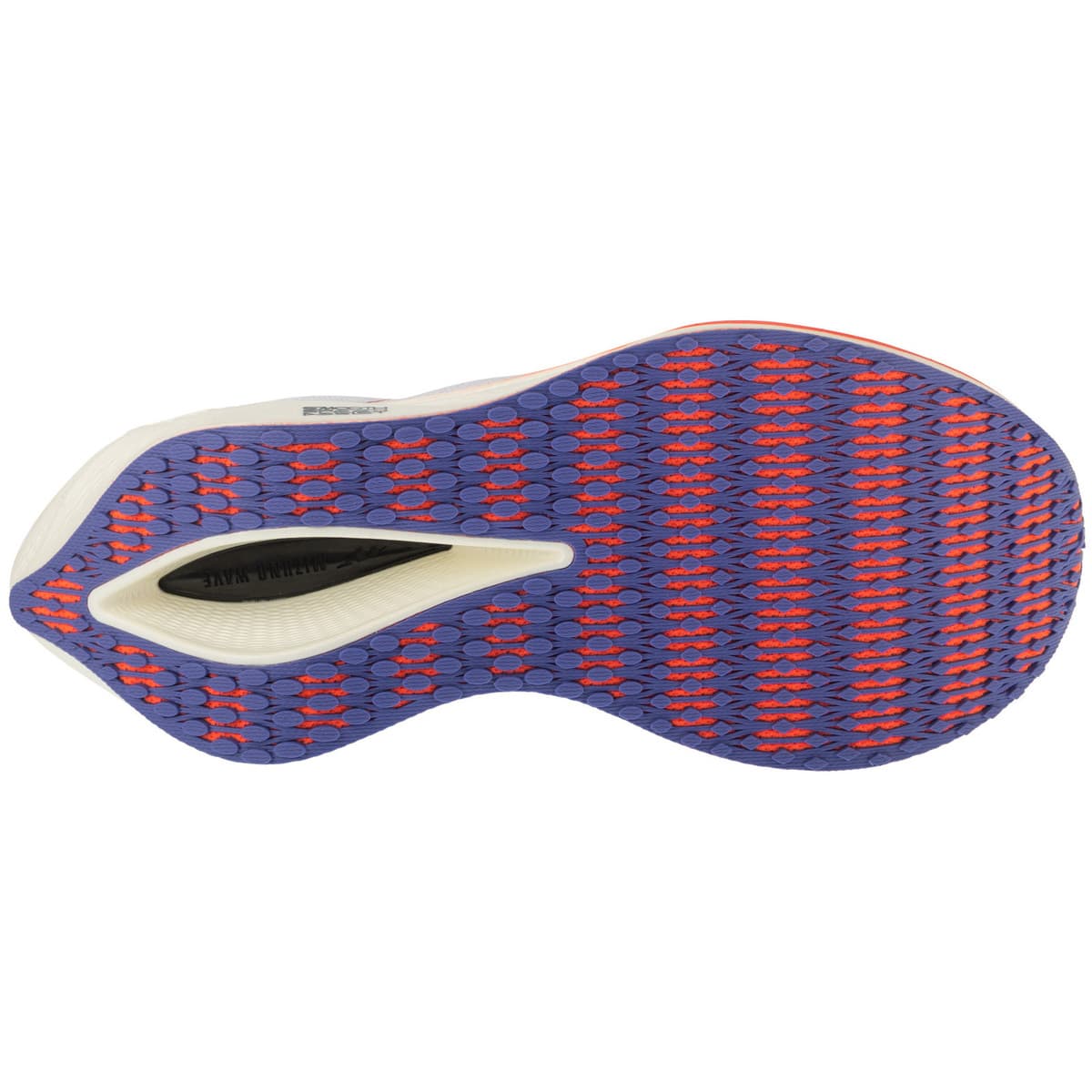 Men's Running Shoes Mizuno Gray