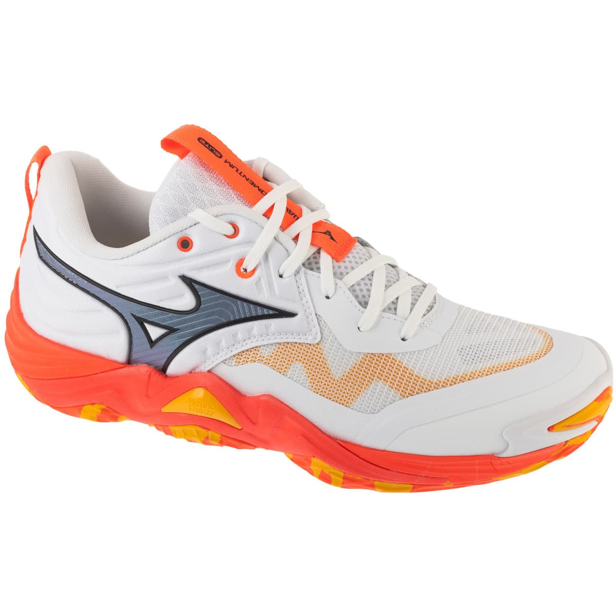 Fitness Mizuno Wave Momentum Elite