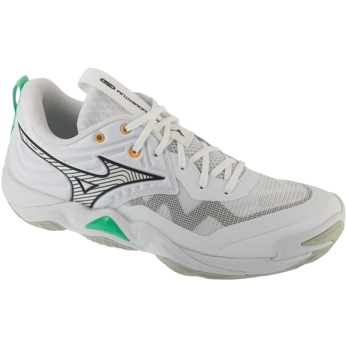 Mizuno Wave Momentum Elite V1GA251221