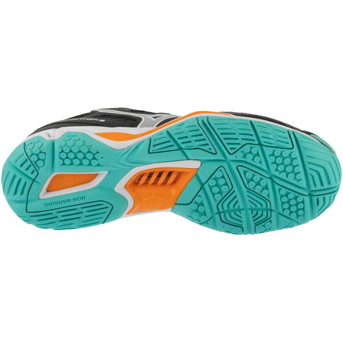 Men's Gym Shoes Mizuno Black