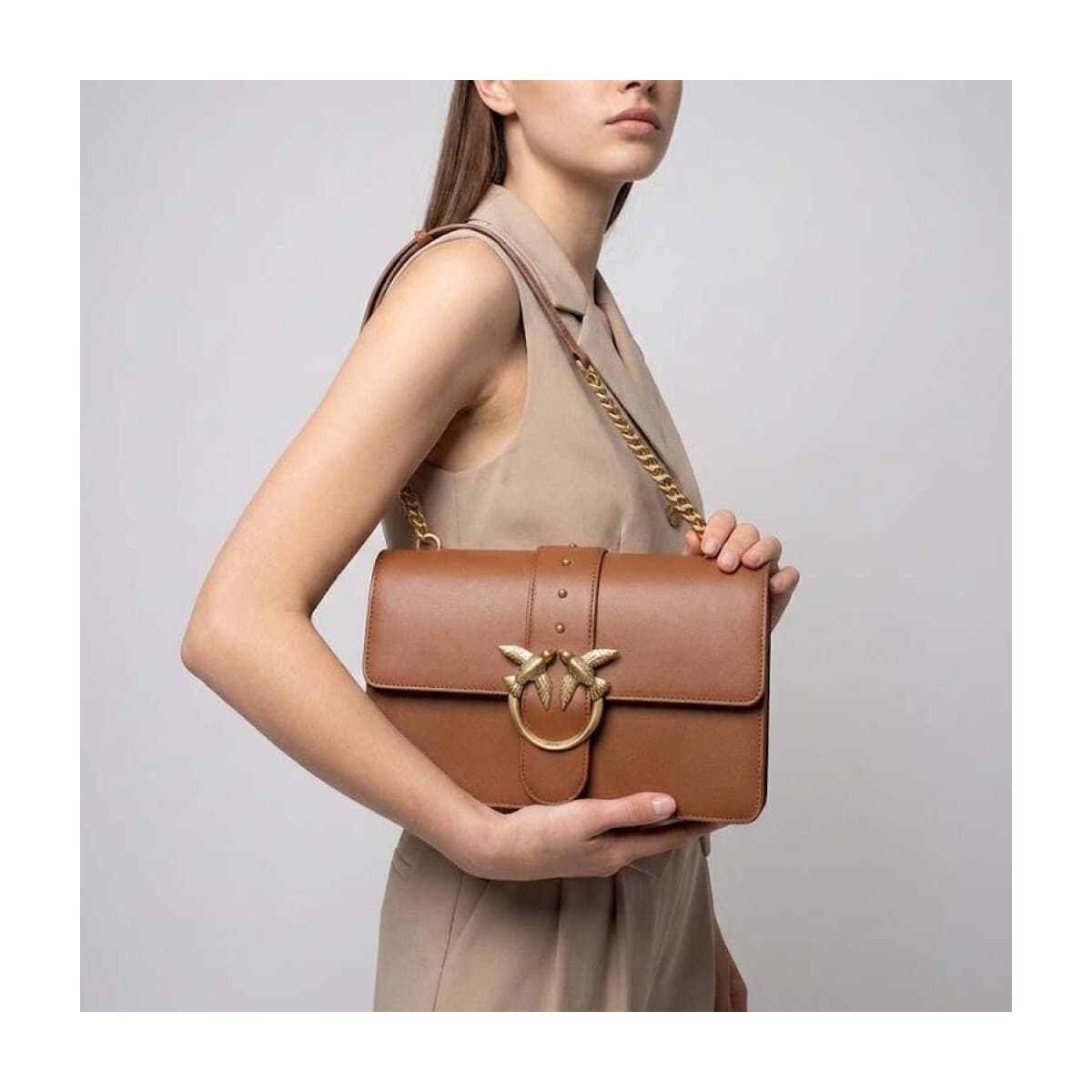 Women's Shoulder Bags Pinko Brown