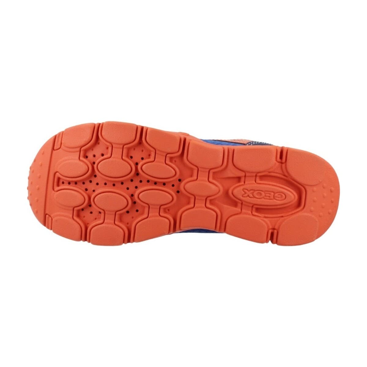 Boys' Sneakers Geox Blue