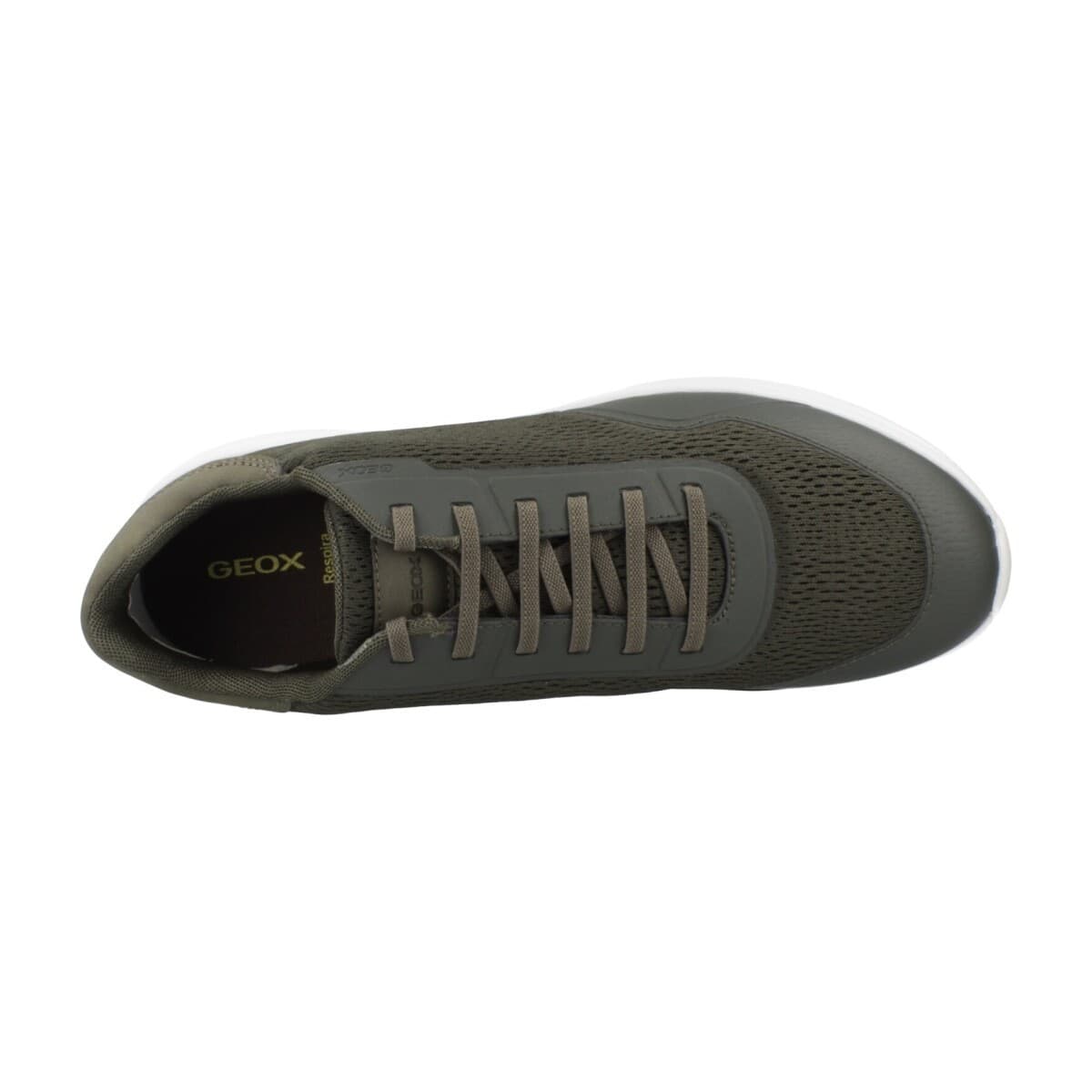 Men's Sneakers Geox Green