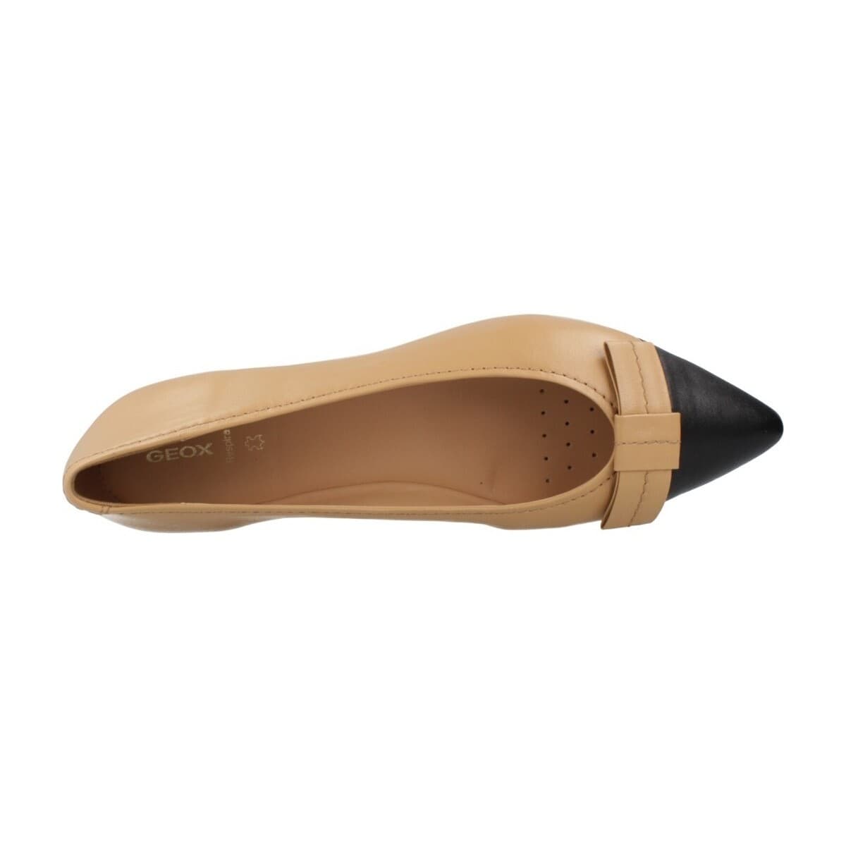 Women's Ballet Flats Geox Brown