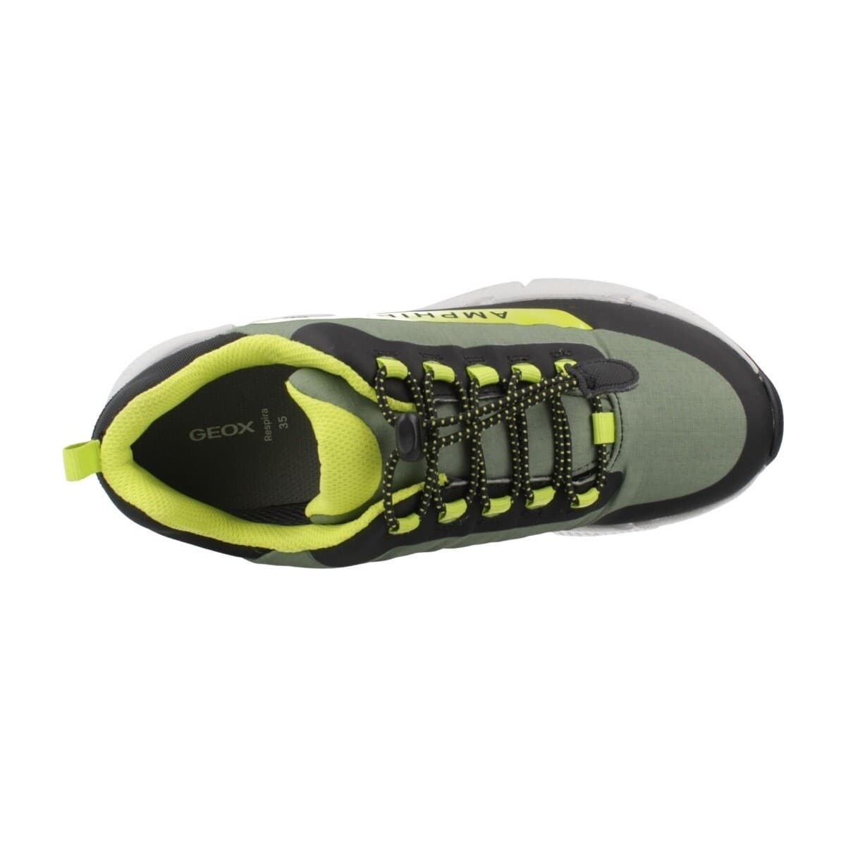 Boys' Sneakers Geox Green