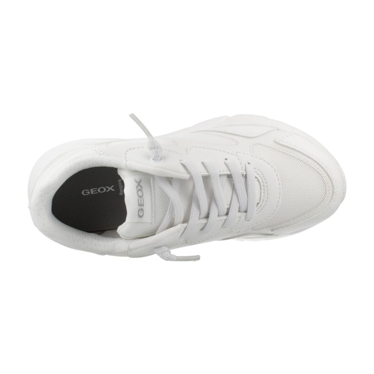 Boys' Sneakers Geox White