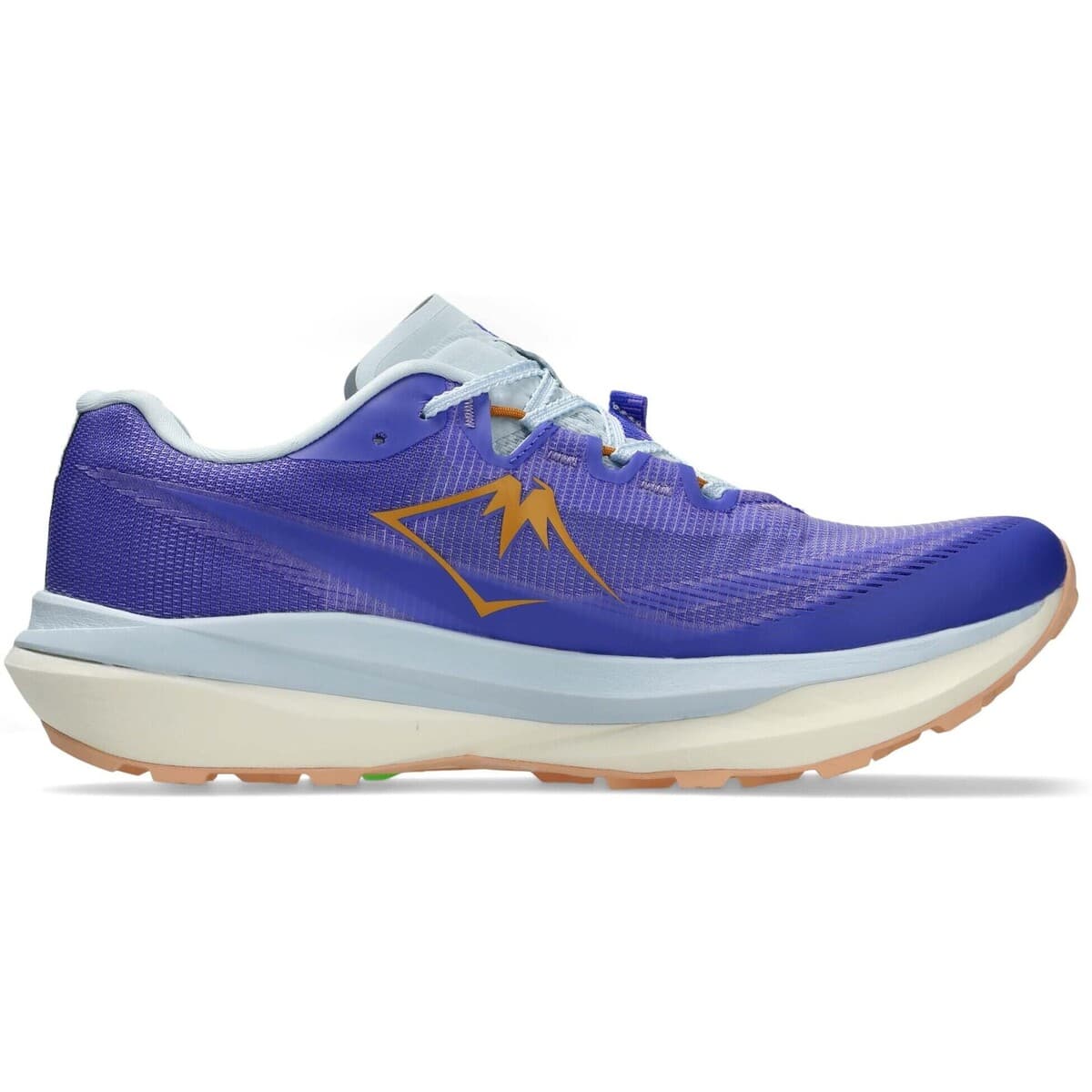 Women's Running Shoes Asics Blue