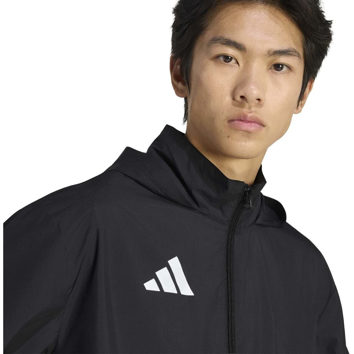 Men's Sweatshirts adidas Black