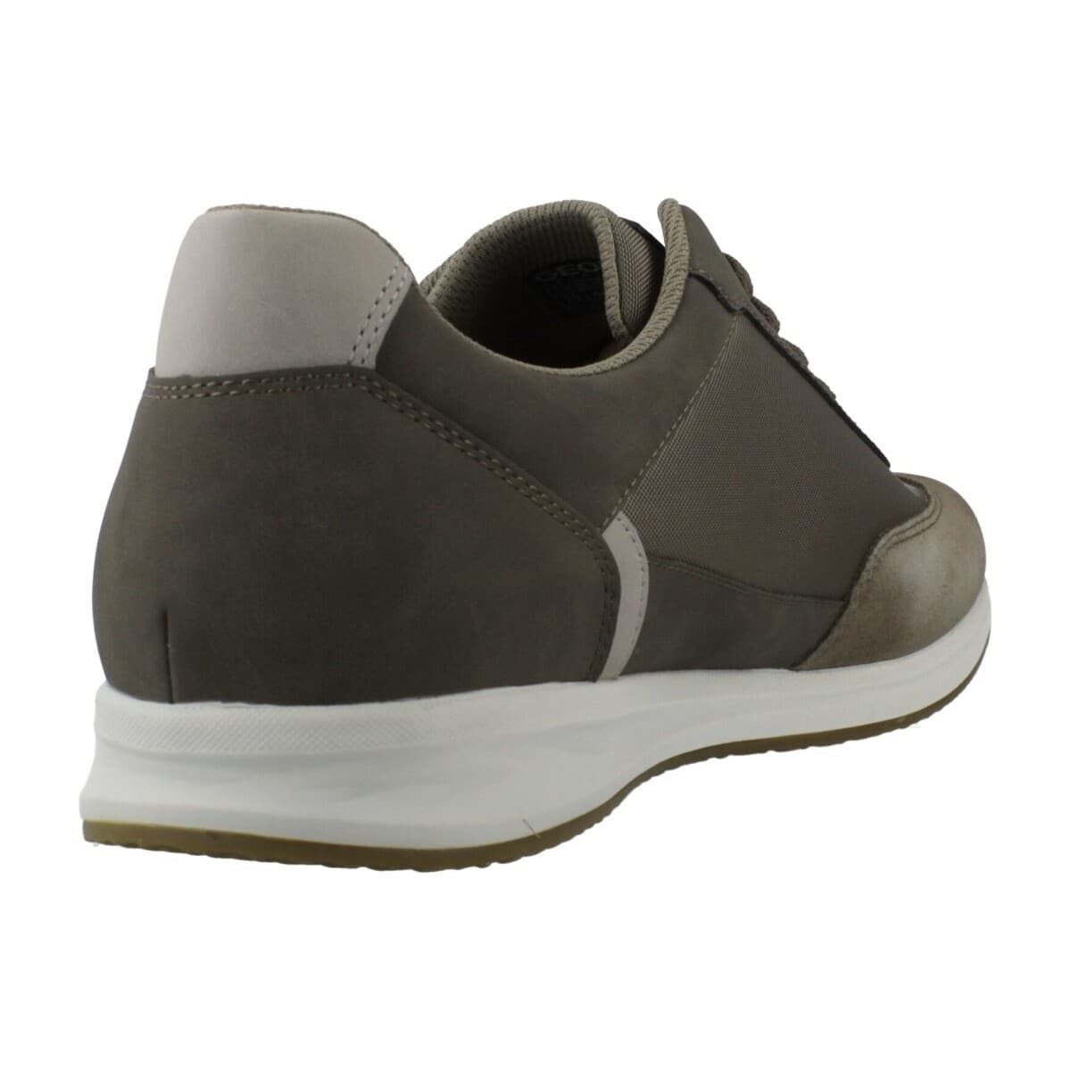 Men's Sneakers Geox Green