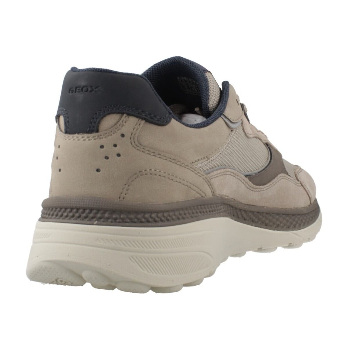 Men's Sneakers Geox Brown