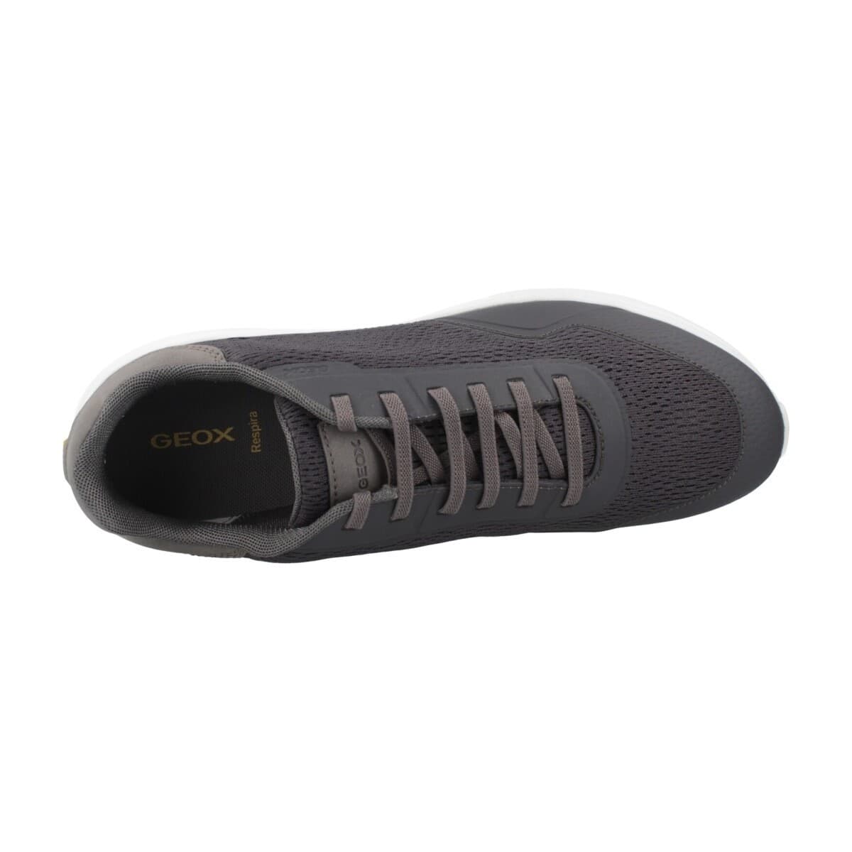 Men's Sneakers Geox Gray