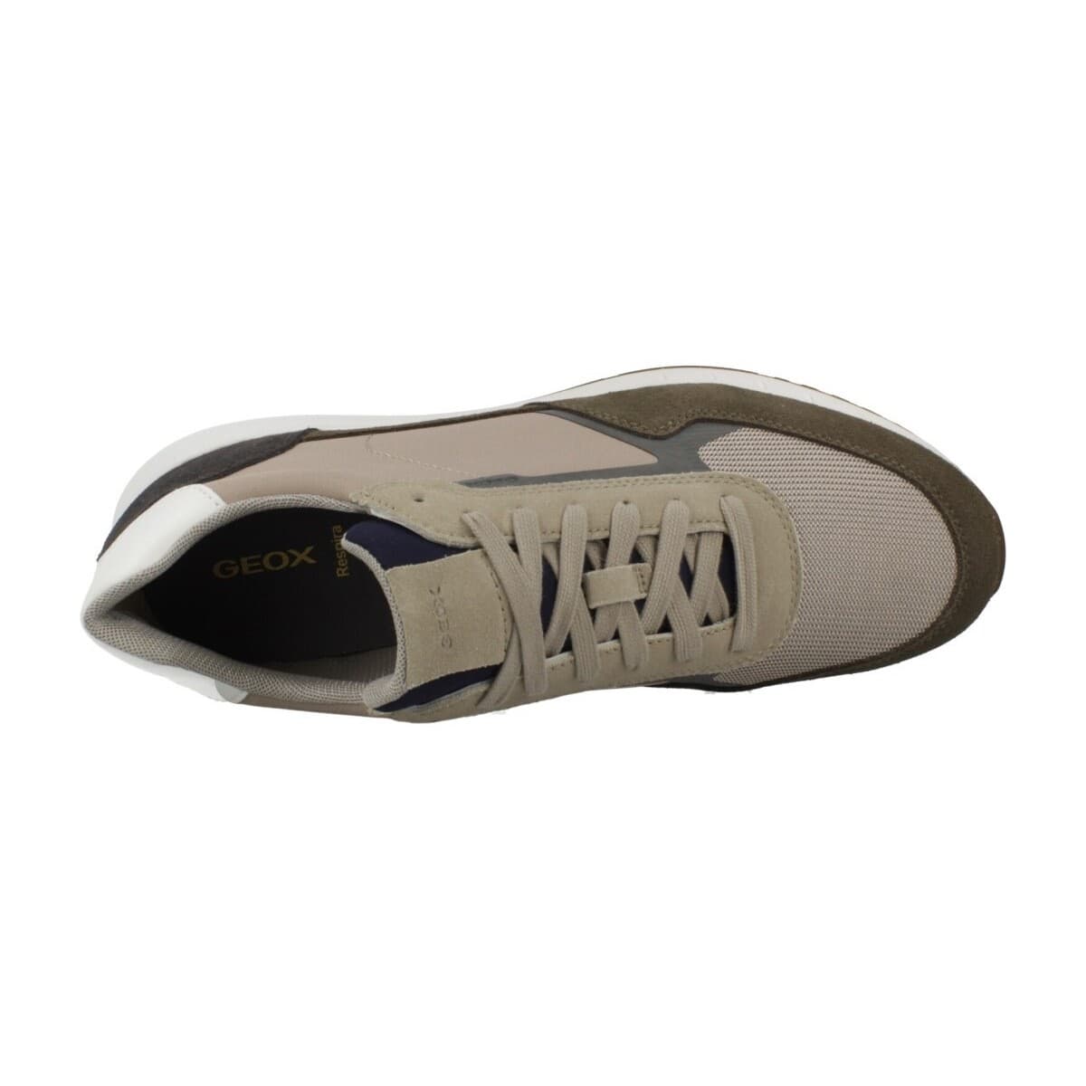 Men's Sneakers Geox Brown