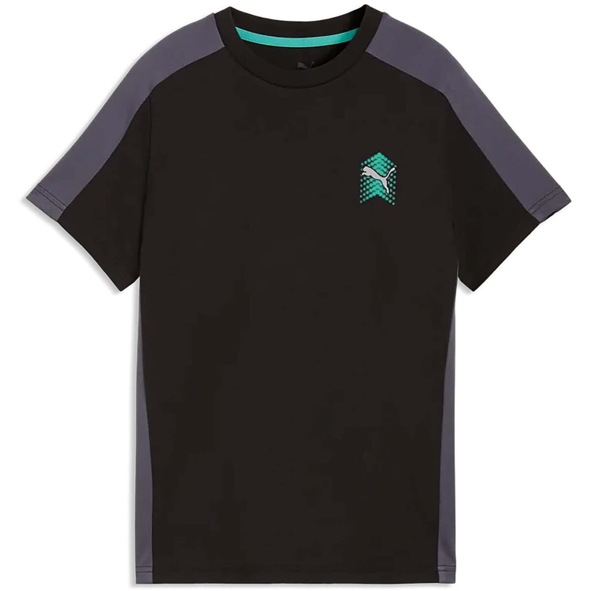 T-shirts & Polos Puma Active Sports Small Graphic Tee B