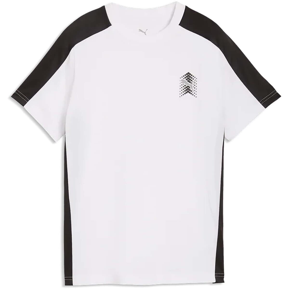 T-shirts & Polos Puma Active Sports Small Graphic Tee B