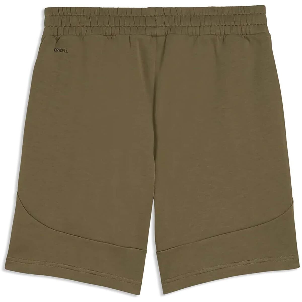 Men's Shorts Puma Green