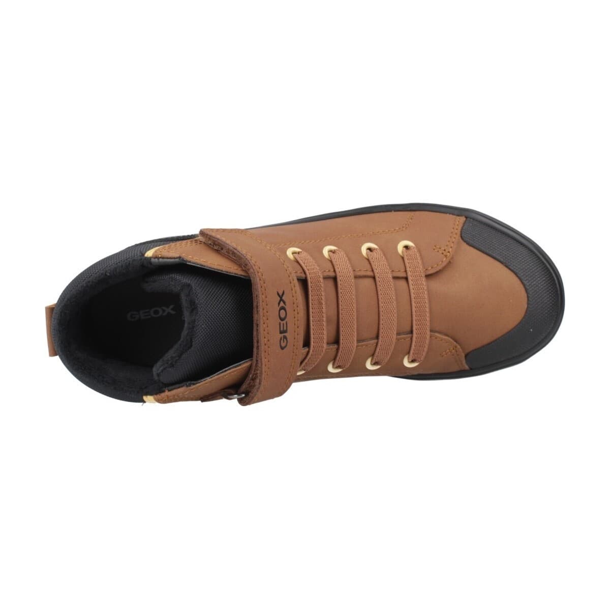 Boys' Sneakers Geox Brown