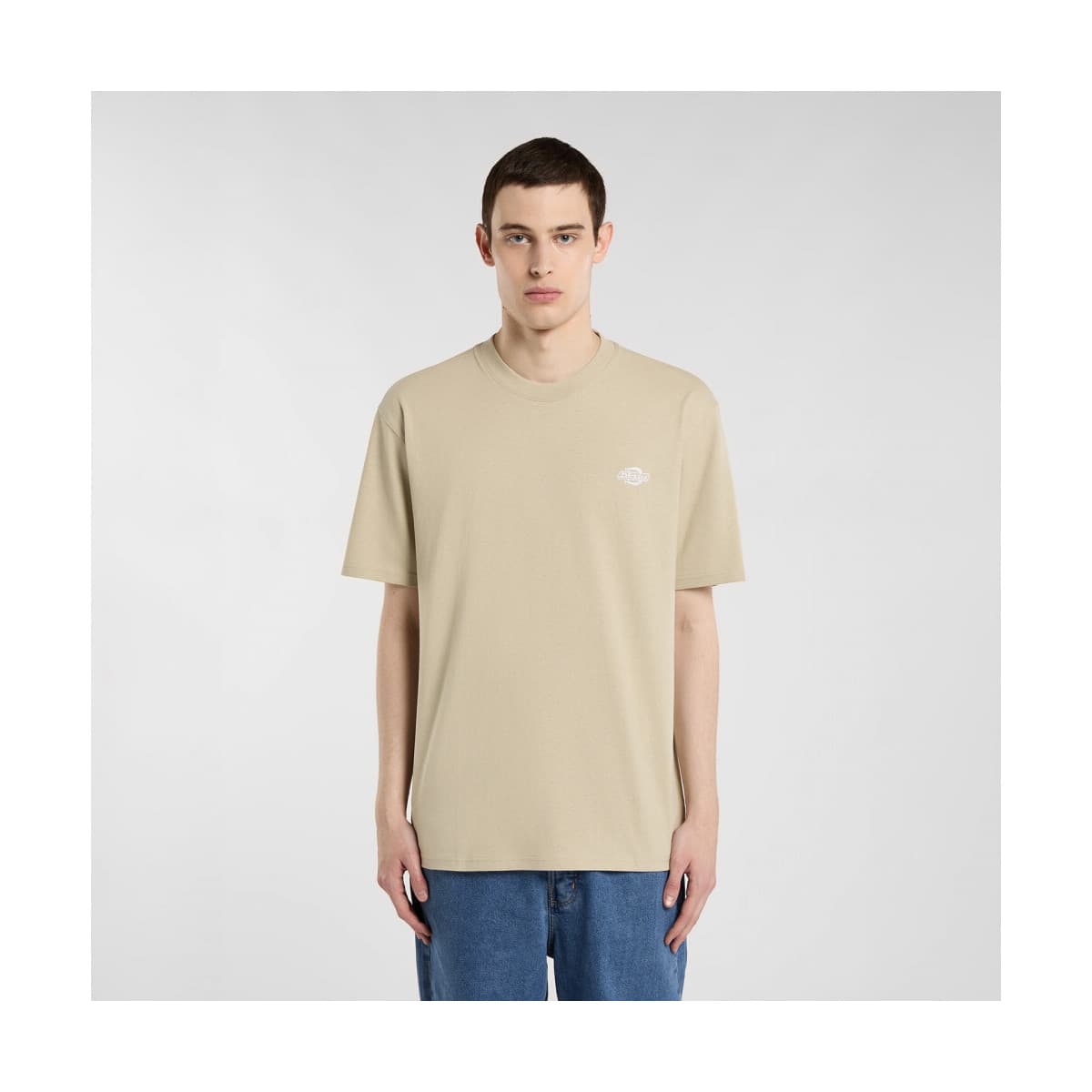 T-shirt με κοντά μανίκια Dickies Summerdale ss tee