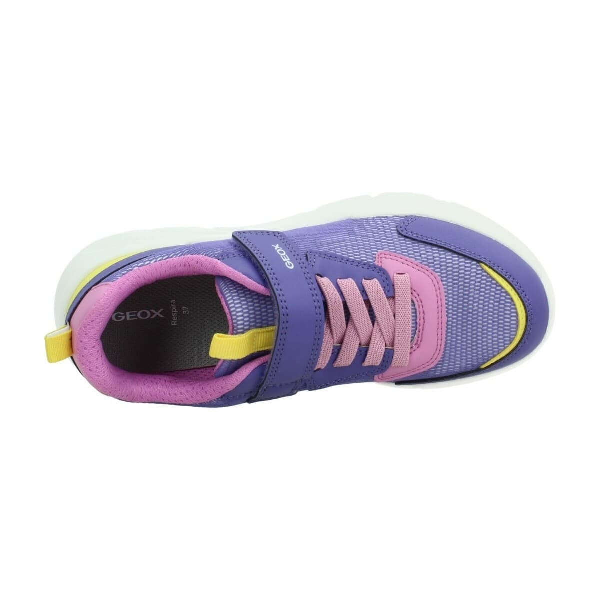 Girls' Sneakers Geox Purple