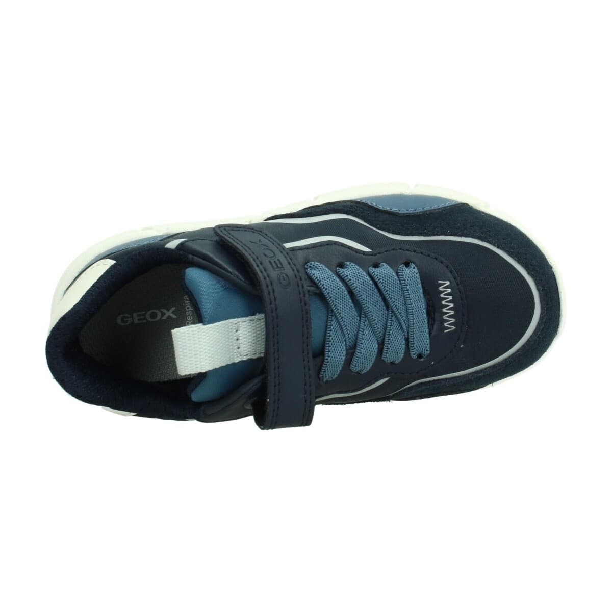 Boys' Sneakers Geox Blue