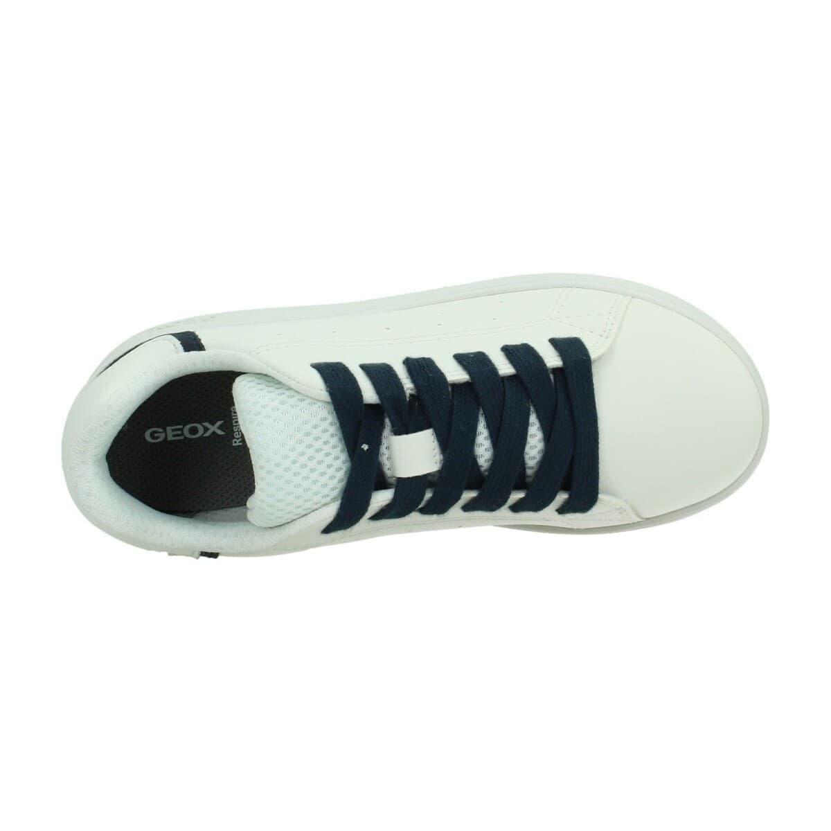 Boys' Sneakers Geox White