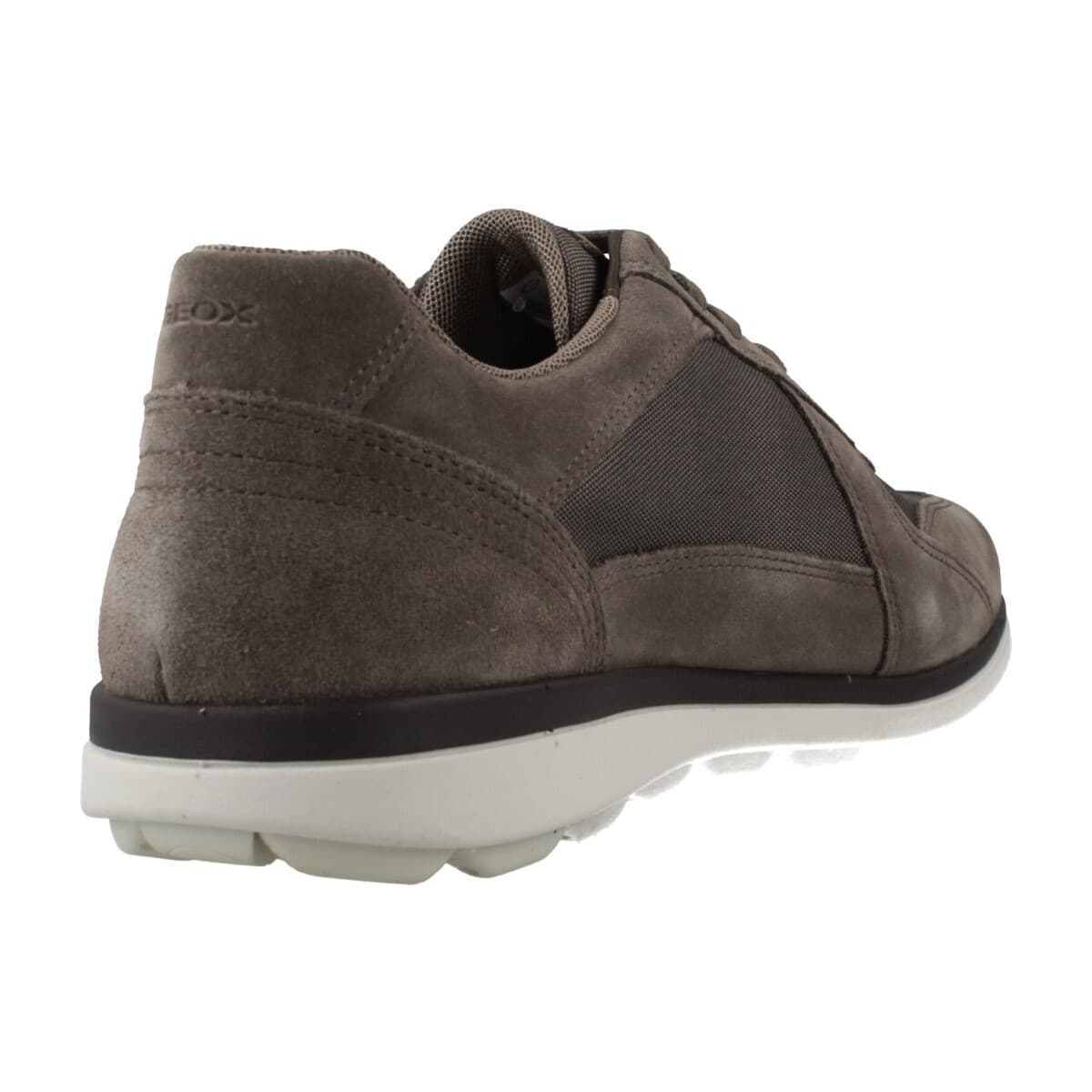 Men's Sneakers Geox Brown