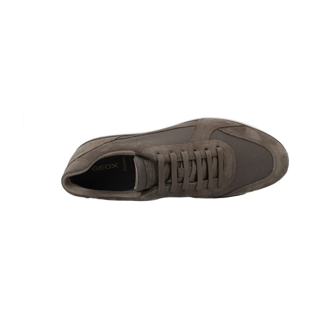 Men's Sneakers Geox Brown