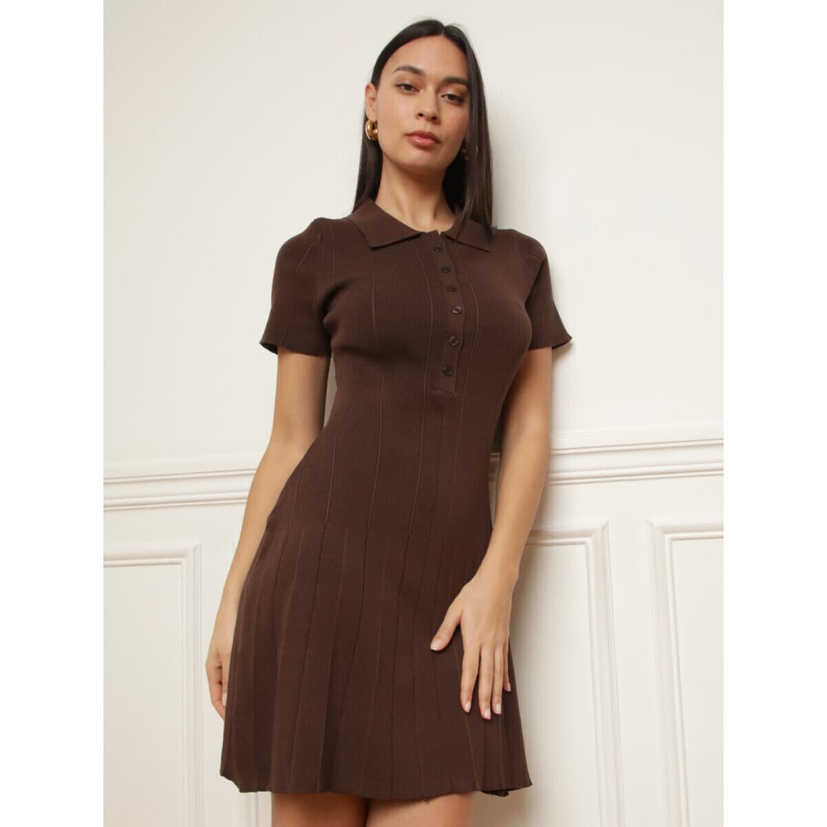 Women's Dresses La Modeuse Brown