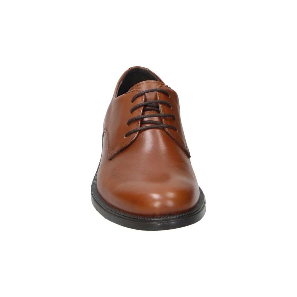 Men's Derby Shoes Imac Brown