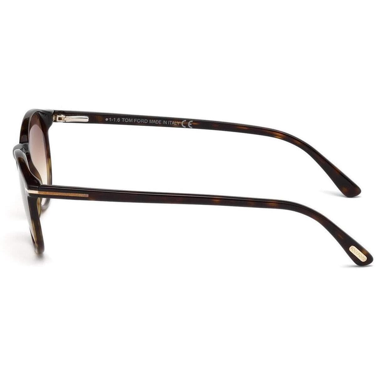 Men's Sunglasses Tom Ford Brown