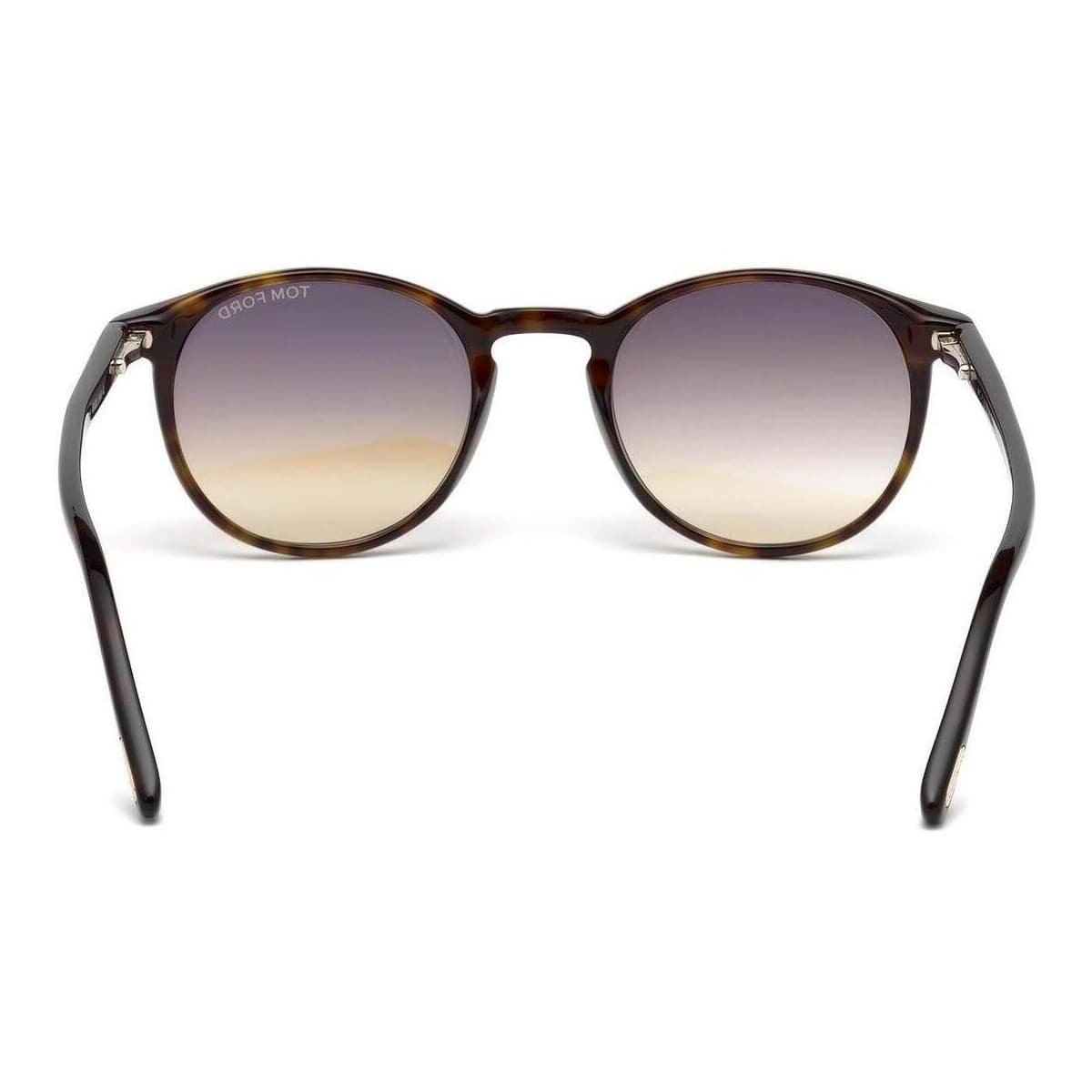 Men's Sunglasses Tom Ford Brown