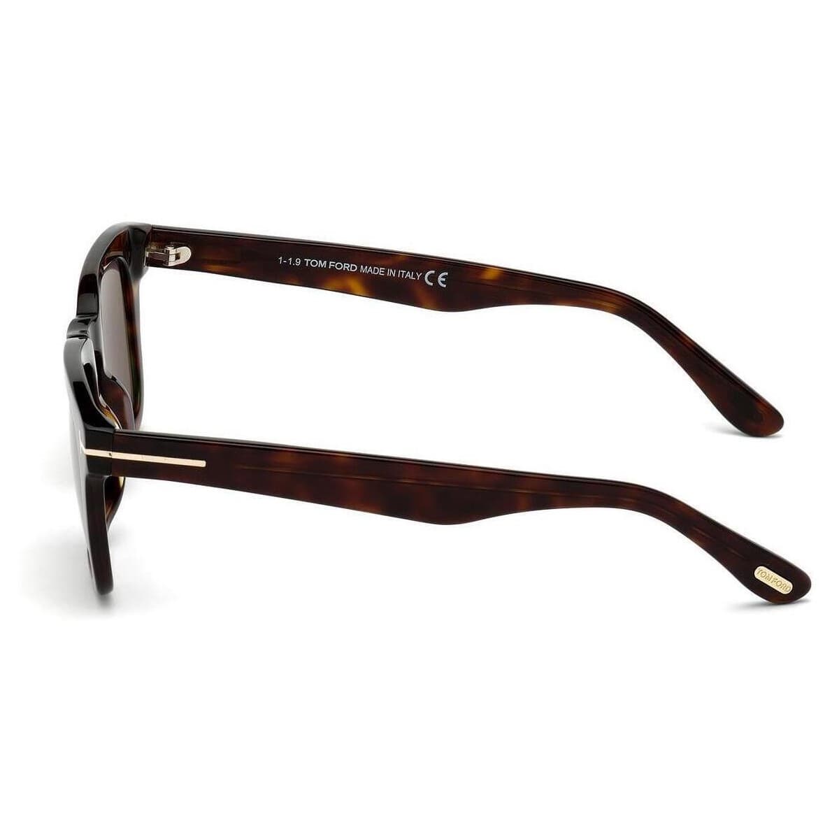 Men's Sunglasses Tom Ford Brown
