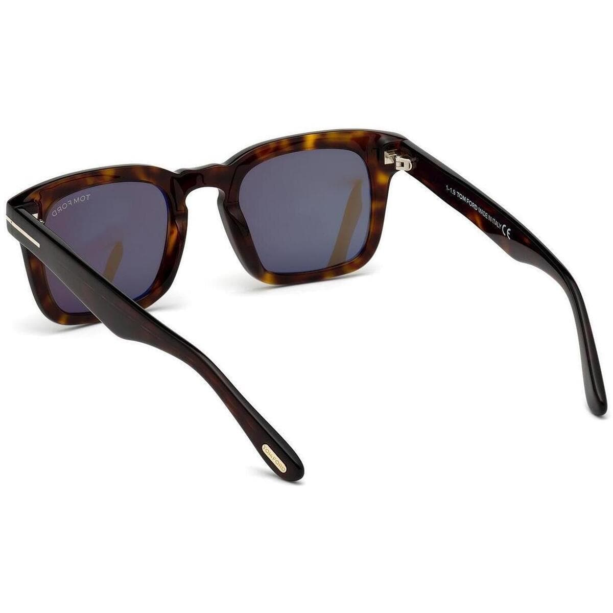 Men's Sunglasses Tom Ford Brown