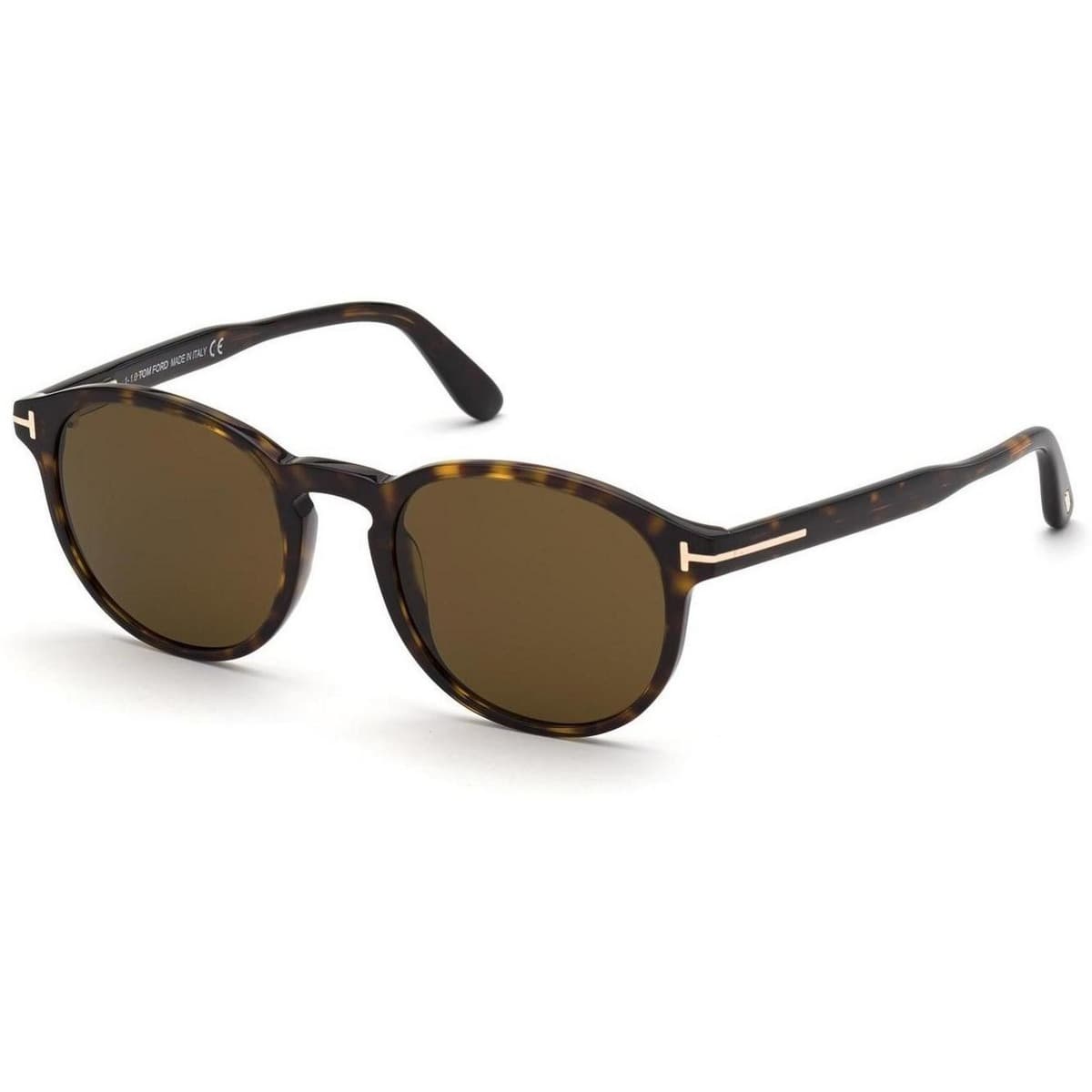 Men's Sunglasses Tom Ford Brown