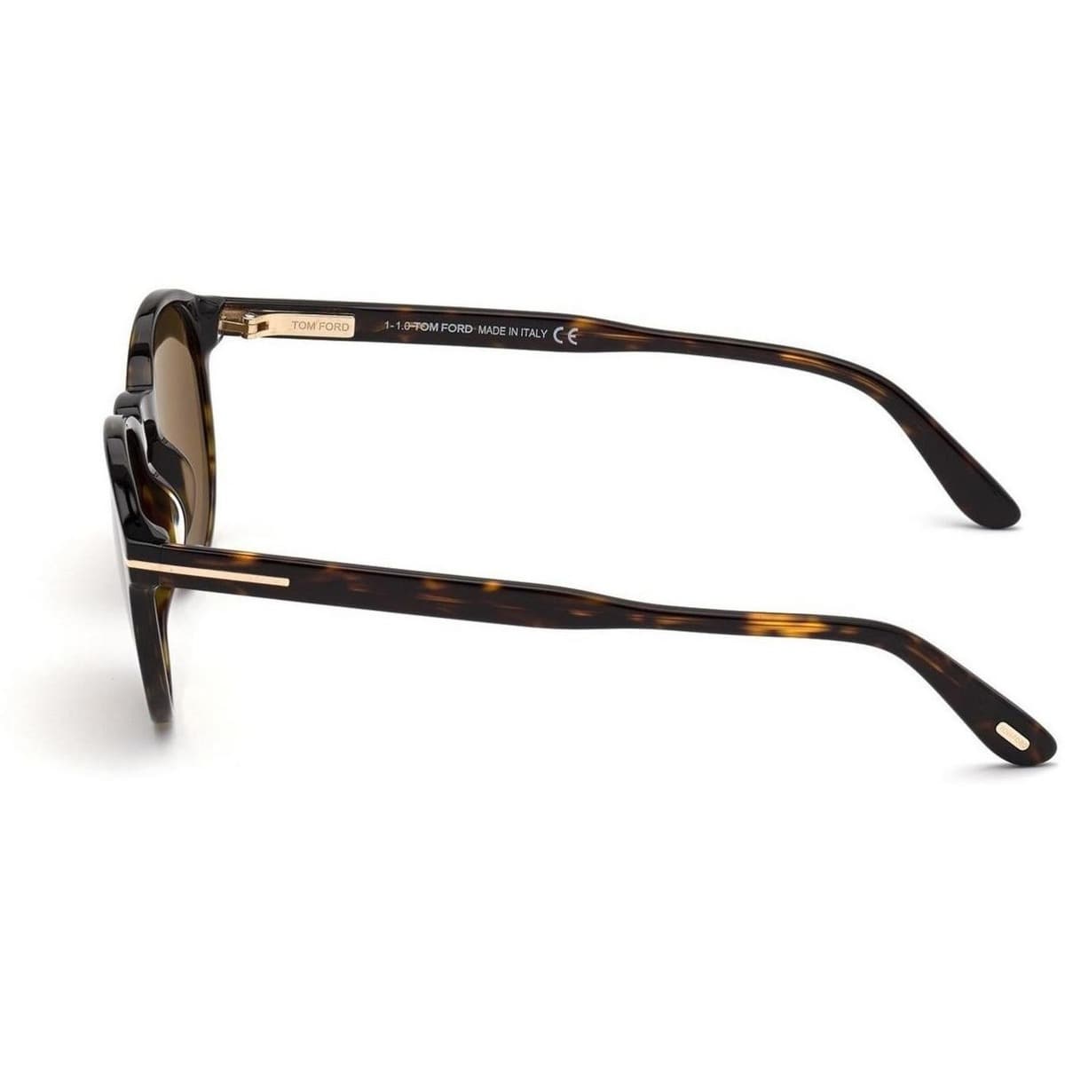 Men's Sunglasses Tom Ford Brown