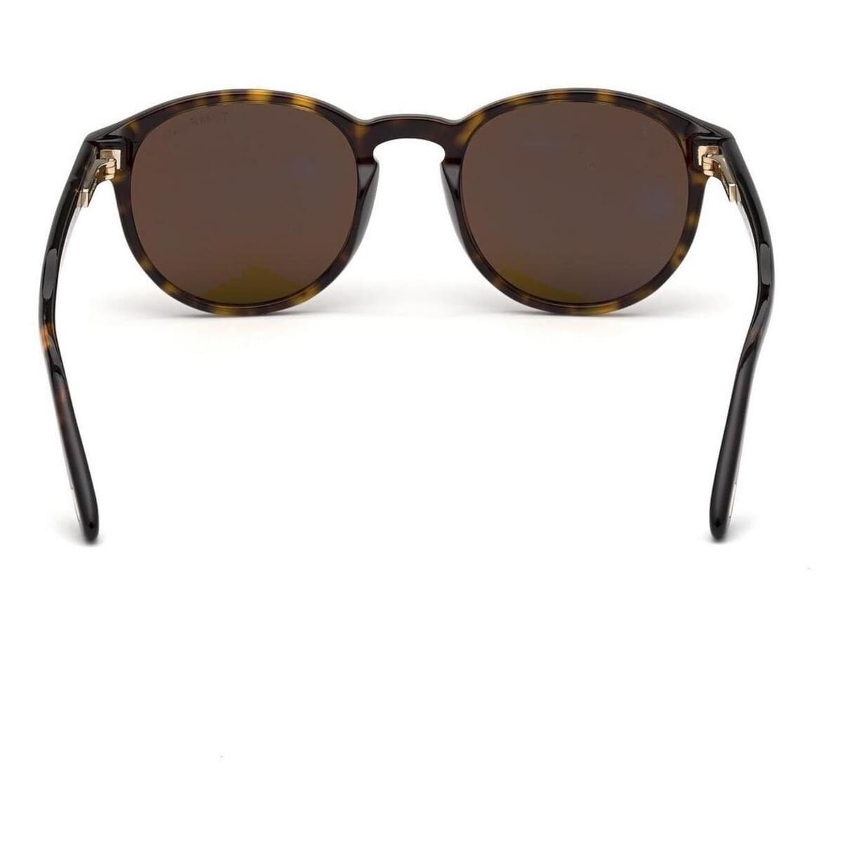 Men's Sunglasses Tom Ford Brown