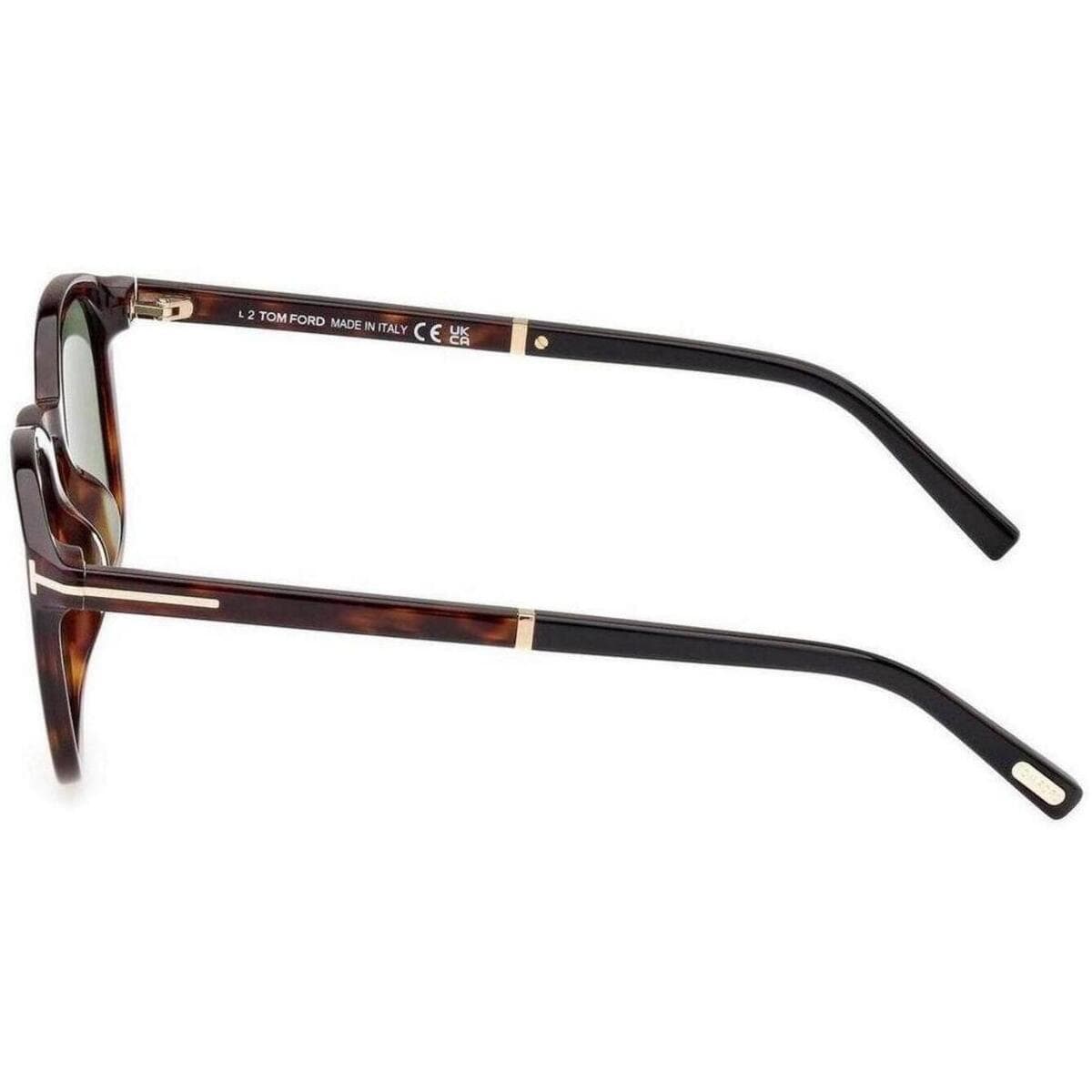 Men's Sunglasses Tom Ford Brown