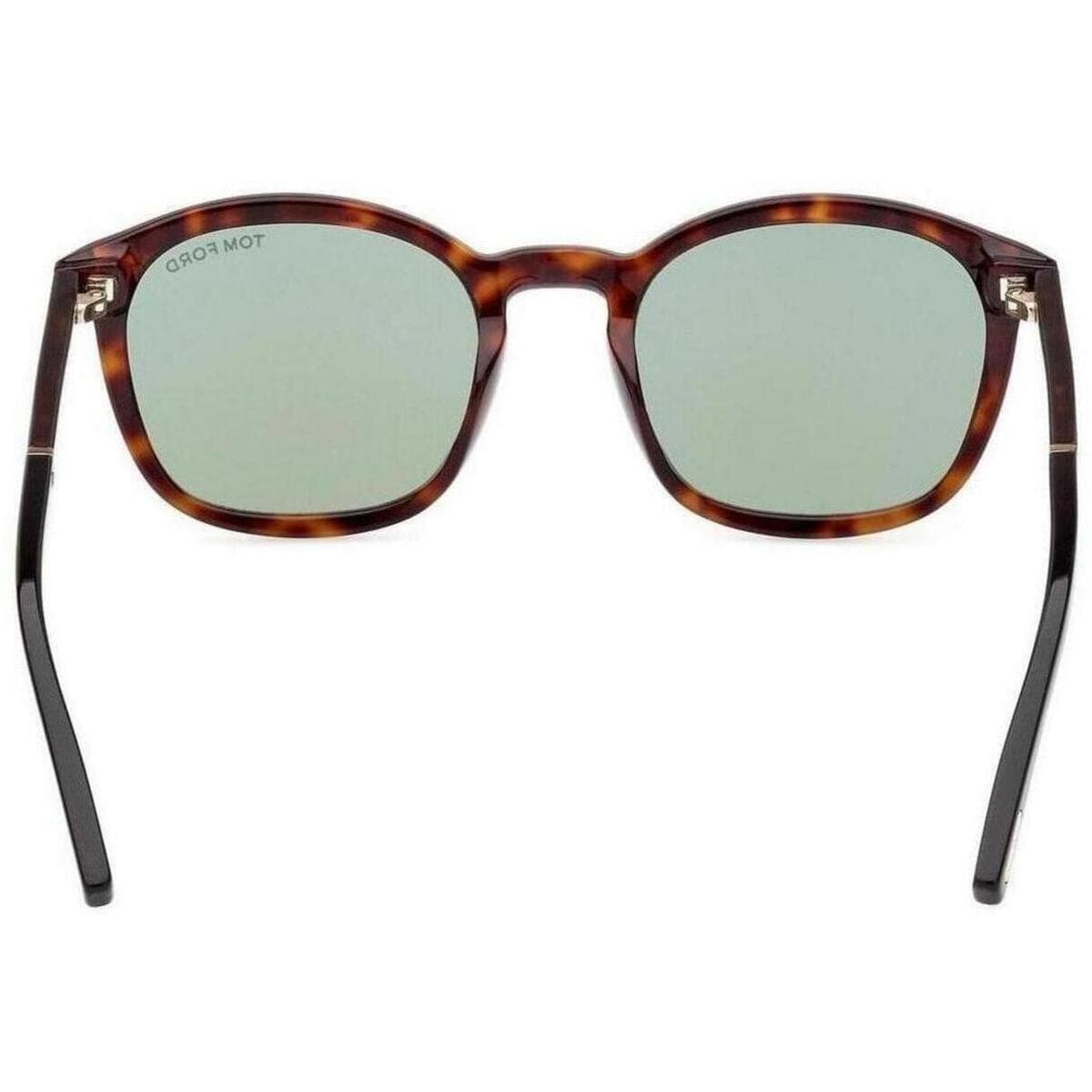 Men's Sunglasses Tom Ford Brown