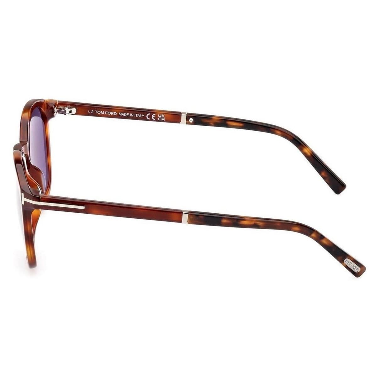 Men's Sunglasses Tom Ford Beige