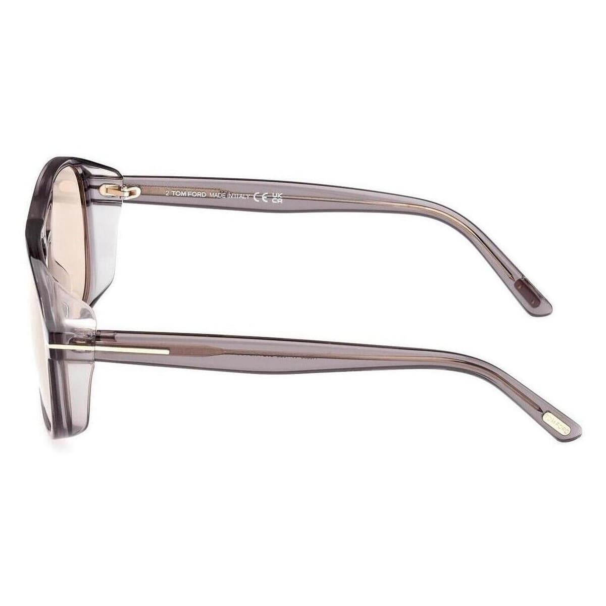 Men's Sunglasses Tom Ford Brown