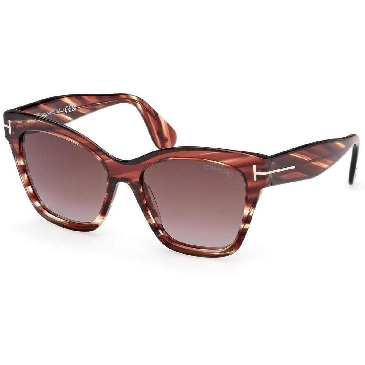 Men's Sunglasses Tom Ford Brown