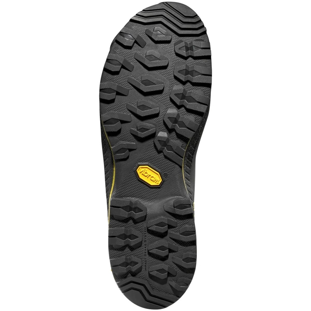 Men's Outdoor Shoes La Sportiva Black